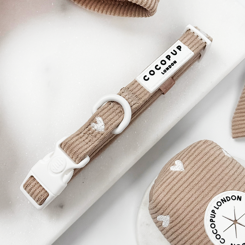 Chai Hearts Collar & Lead Bundle