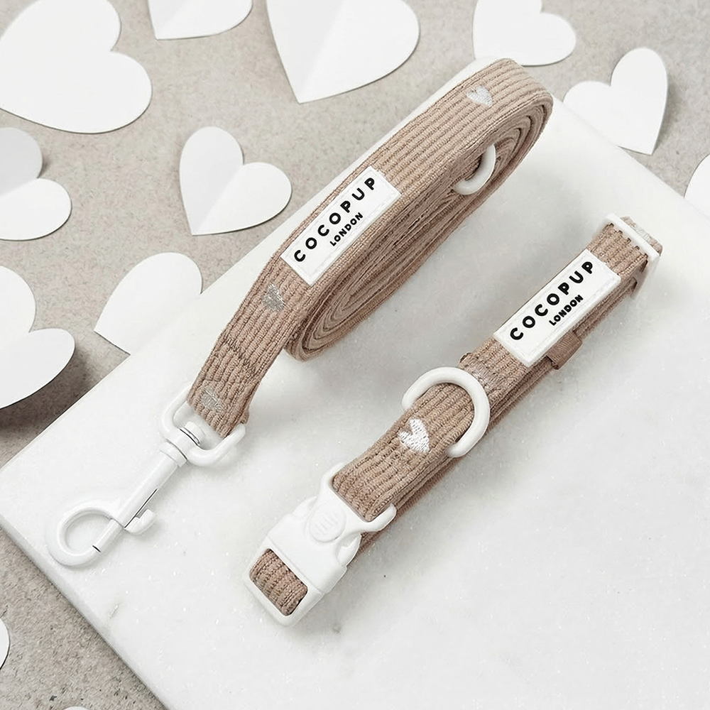 Chai Hearts Collar & Lead Bundle