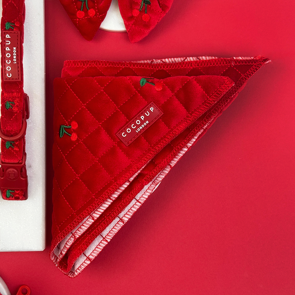 Cherry Velvet Crush Bandana