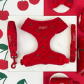Cherry Velvet Crush Adjustable Neck Harness, Lead & Collar Bundle