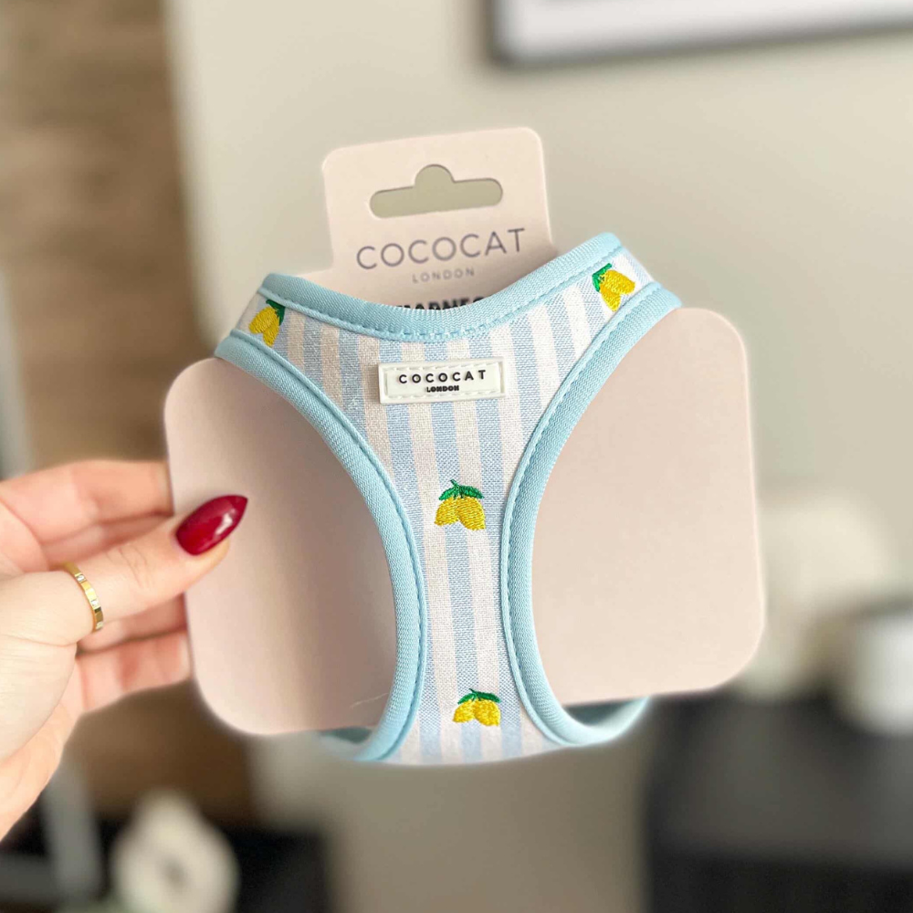 Cat Harness, Lead and Collar Bundle - Living La Vida Lemon