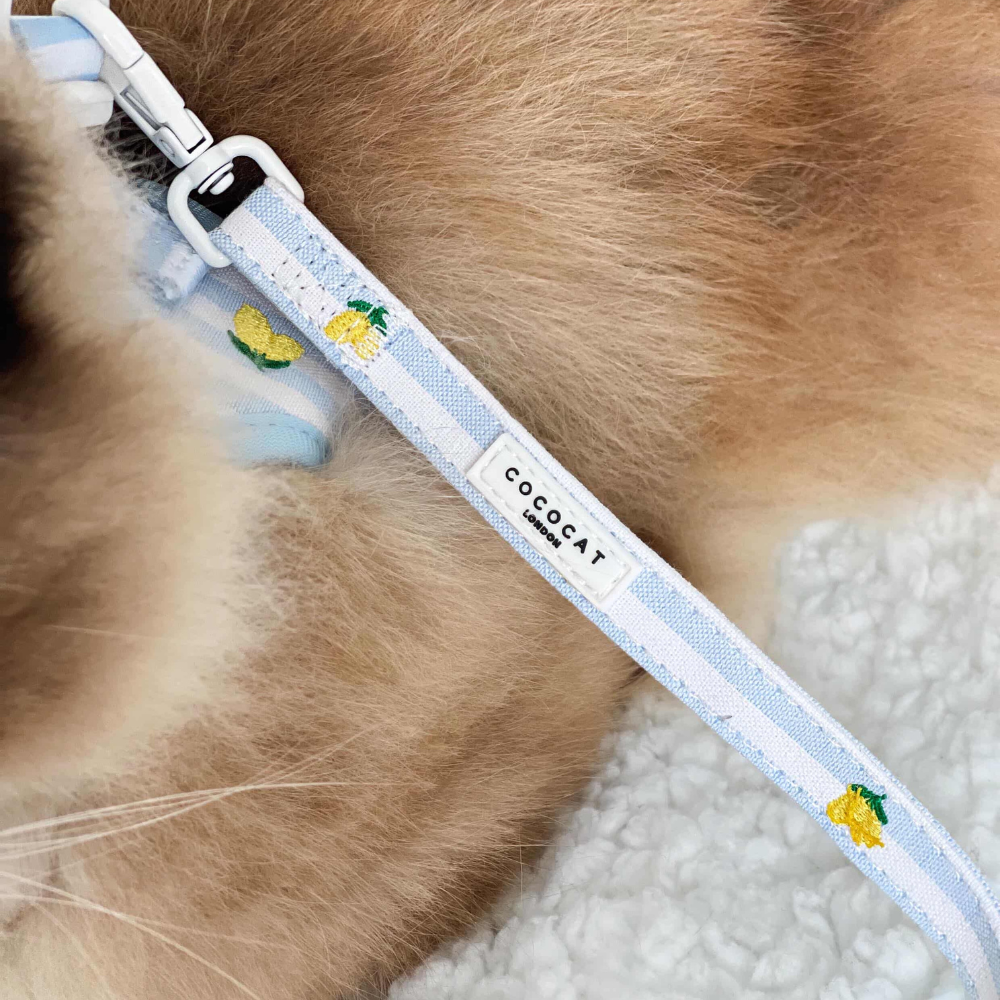 Cat Harness, Lead and Collar Bundle - Living La Vida Lemon