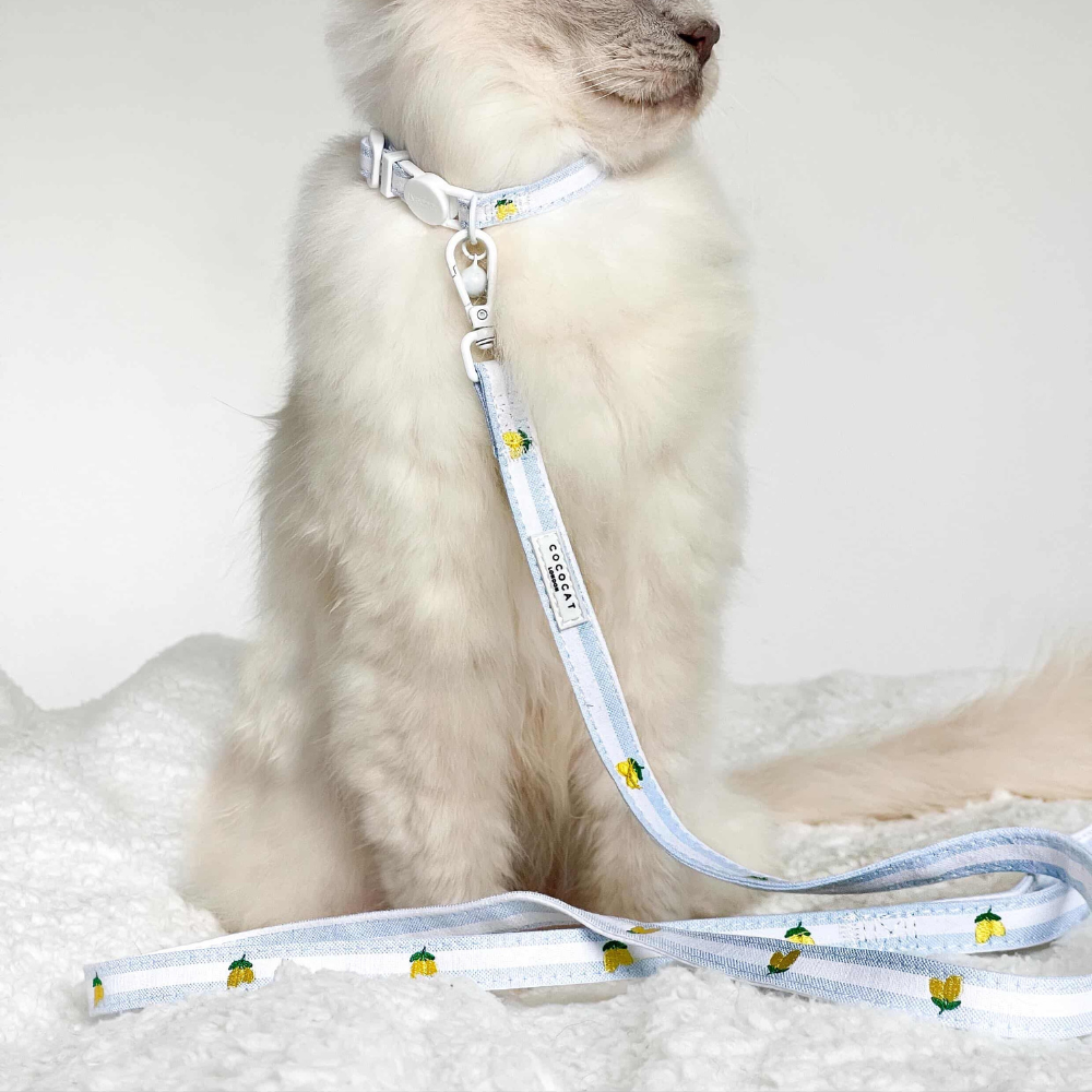 Cat Harness, Lead and Collar Bundle - Living La Vida Lemon