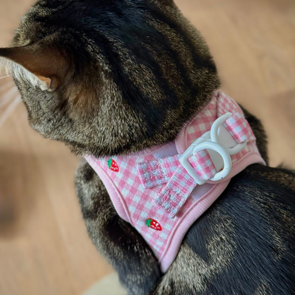 Cat Harness, Lead and Collar Bundle - Strawberry Picnic